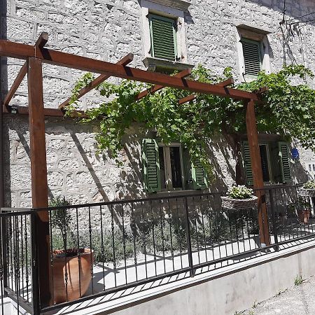 Casa Nonna Tereza Apartment Premantura Exterior photo